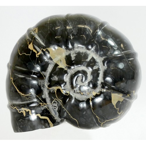 428 - Darren Yeadon (b.1970), Ammonite, Portoro stone, 14 x 16cm. ARR. 
Portoro literally translates as do... 