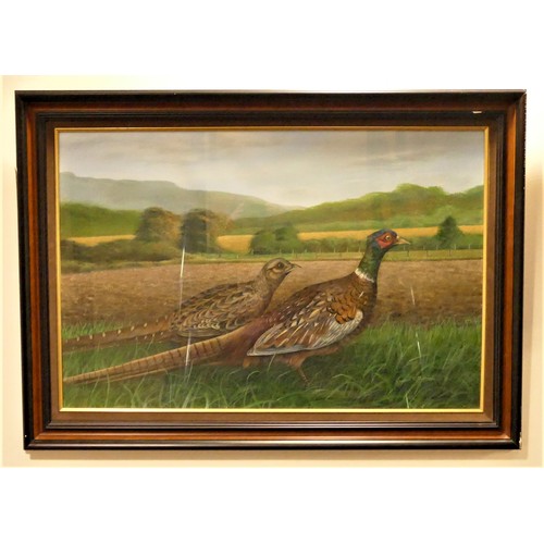 69 - Gordon C Turton, (b.1956), Cock and Hen Pheasant, watercolour, signed, 52 x 80cm