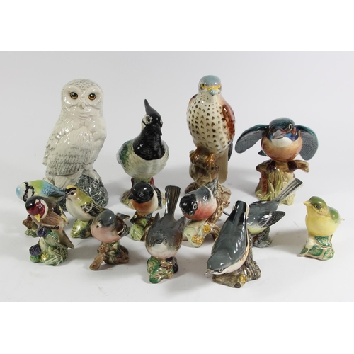 127 - Fourteen Beswick bird figurines to include, Snowy Owl 17cm, Lapwing (2416) 15cm, Kingfisher (2371) 1... 