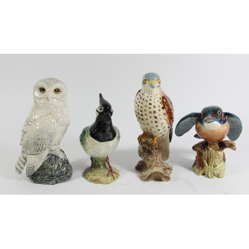 127 - Fourteen Beswick bird figurines to include, Snowy Owl 17cm, Lapwing (2416) 15cm, Kingfisher (2371) 1... 