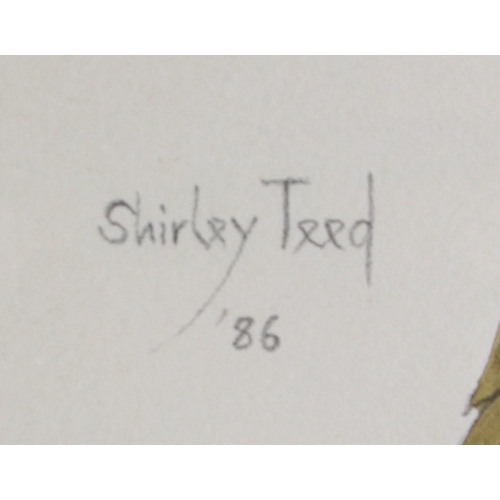 241 - Shirley Teed (1933-2018), red Hibiscus, watercolour, signed and dated '86, 29 x 20cm.
Shirley Teed w... 