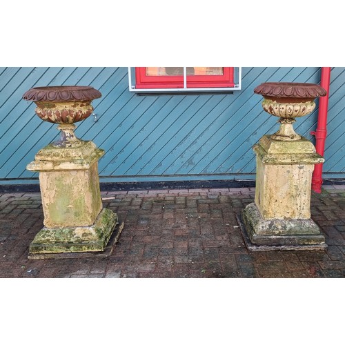 266 - A Victorian pair of terracotta lobed urns, mounted on York stone pedestals, diameter 47, height 118c... 