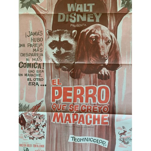 481 - El Perro Que Se Creyo Mapache (1960) 'Walt Disney's The Hound That Thought He Was A Racoon' Argentin... 