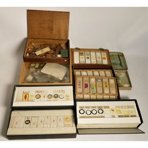 124 - A substantial collection of Microscope slides, including biology and medical slides