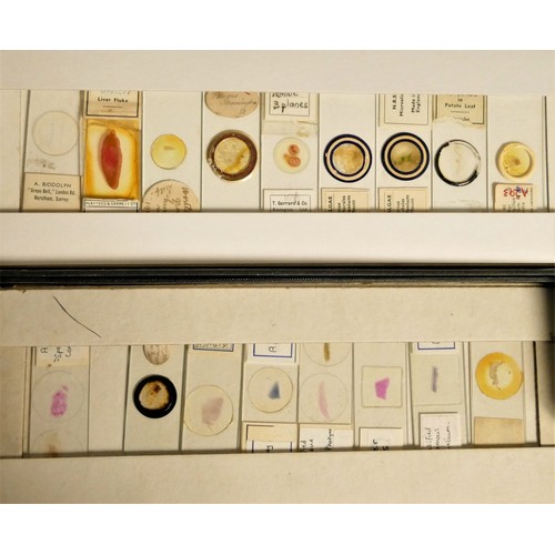 124 - A substantial collection of Microscope slides, including biology and medical slides