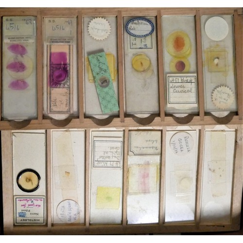 124 - A substantial collection of Microscope slides, including biology and medical slides