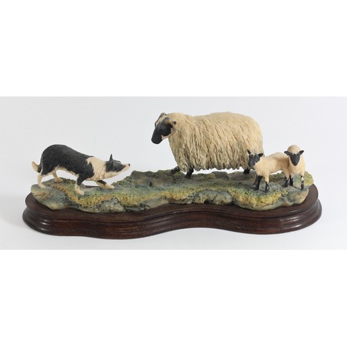 235 - Border Fine Arts, Blackfaced Ewe & Border Collie B104 by Ray Ayres, 11 x 30 cm