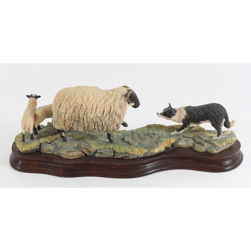 235 - Border Fine Arts, Blackfaced Ewe & Border Collie B104 by Ray Ayres, 11 x 30 cm