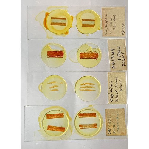 124 - A substantial collection of Microscope slides, including biology and medical slides