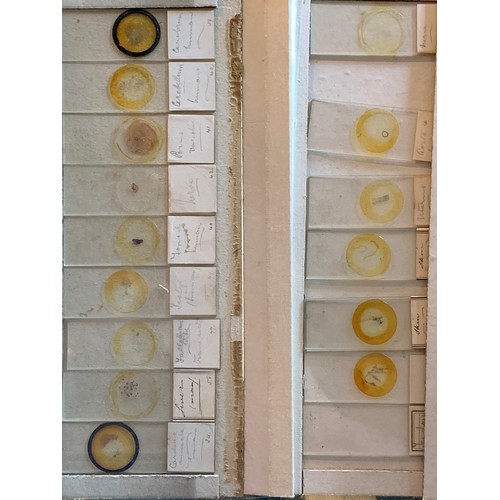 124 - A substantial collection of Microscope slides, including biology and medical slides