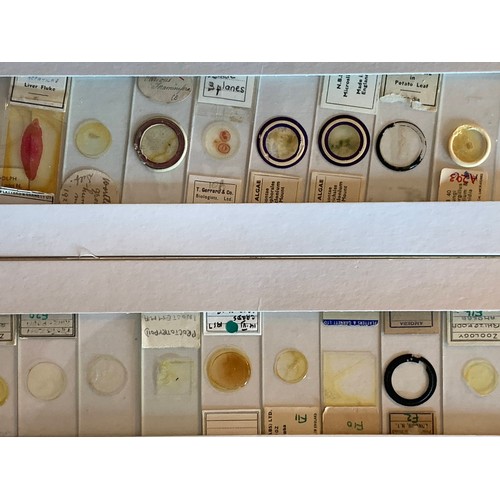 124 - A substantial collection of Microscope slides, including biology and medical slides