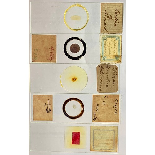 124 - A substantial collection of Microscope slides, including biology and medical slides