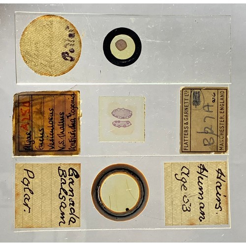 124 - A substantial collection of Microscope slides, including biology and medical slides