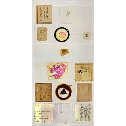 124 - A substantial collection of Microscope slides, including biology and medical slides