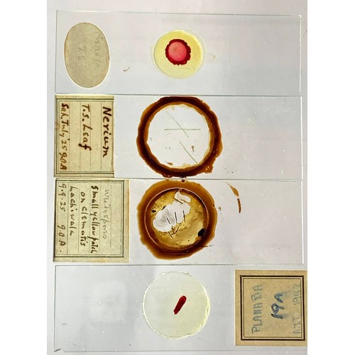 124 - A substantial collection of Microscope slides, including biology and medical slides