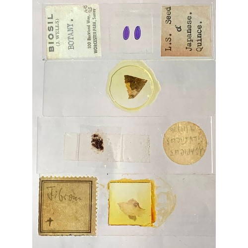 124 - A substantial collection of Microscope slides, including biology and medical slides