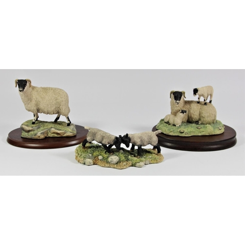 Border Fine Arts, King of the Castle (Black-faced Ewe and Lambs