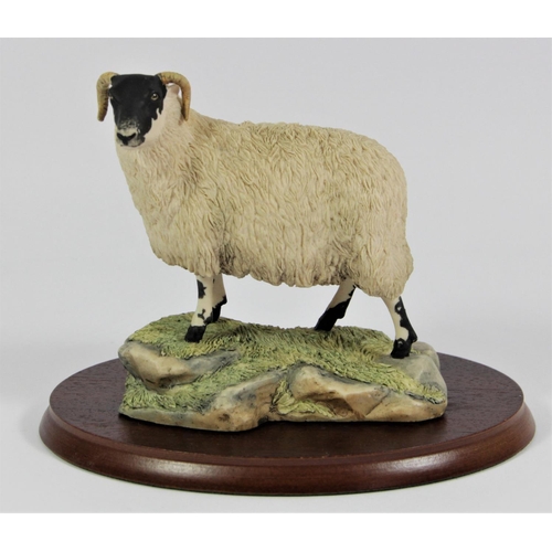 Border Fine Arts, King of the Castle (Black-faced Ewe and Lambs