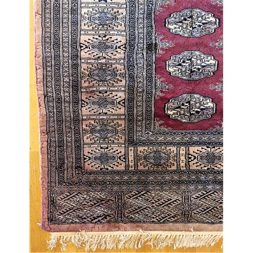 215 - A Pakistani Peshawar Bokhara carpet, with red field and multiple guls, 360 x 290cm, A/F, 1989 receip... 