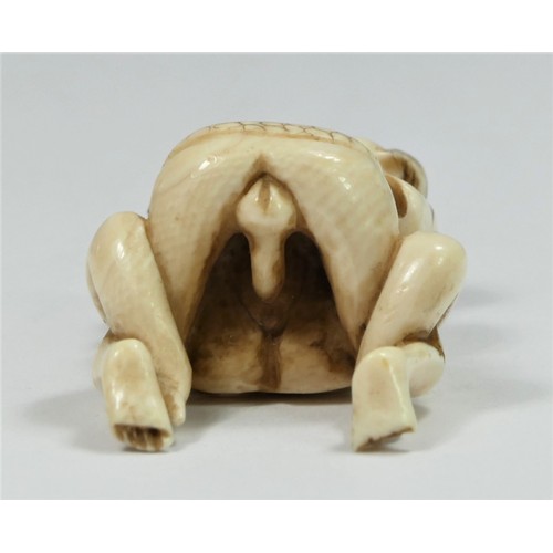 281 - A Taishō period carved ivory netsuke of a copulating couple, signed, 5cm.