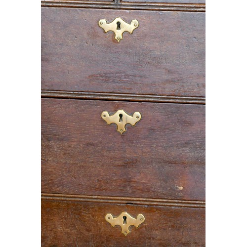 355 - A 19th century oak chest of two short over three long drawers, brass drop handles, raised on ogee br... 