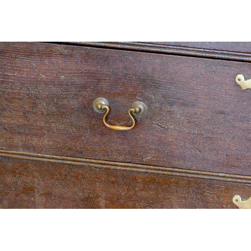 355 - A 19th century oak chest of two short over three long drawers, brass drop handles, raised on ogee br... 