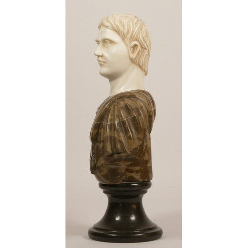 129 - A white and variegated marble bust of a Roman Emperor, raised on a pedestal, 30cm