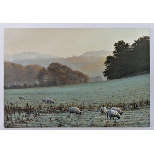 258 - Paul James (contemporary), sheep on a misty morning, oil on canvas, signed, unframed, 50 x 76cm