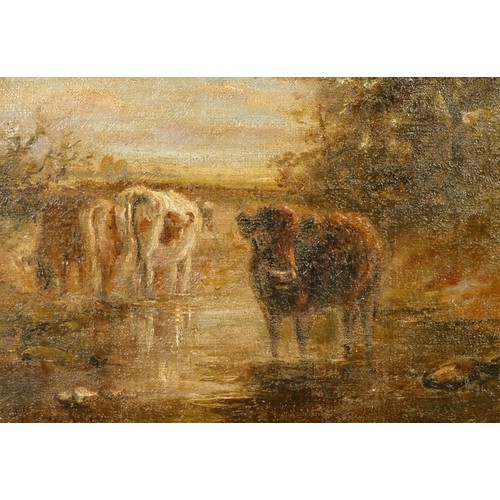 268 - 19th century English School, cattle in a river, oil on canvas, indistinctly signed, 17 x 24cm.