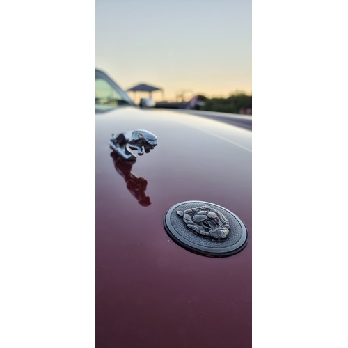 410 - 1990 Jaguar XJ-S Convertible, V12, 5343cc. Registration number G43 LHD. VIN number SAJJNADW3DB168440... 