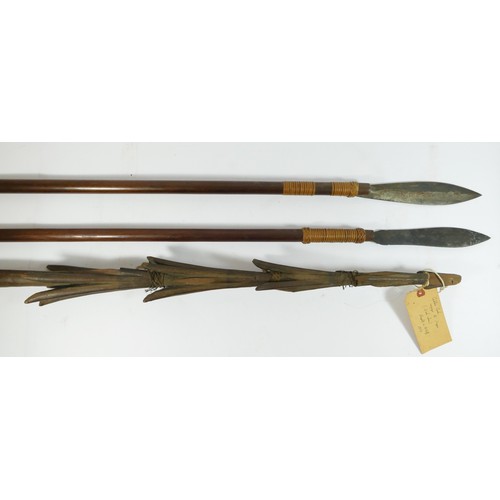 An Oceanic Polynesian barbed fishing spear, 149cm, owners label