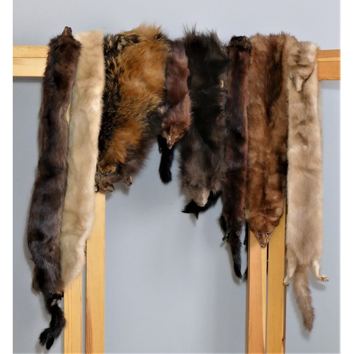41 - Furs, stoles and collars various lengths, single and double pelts. (10)