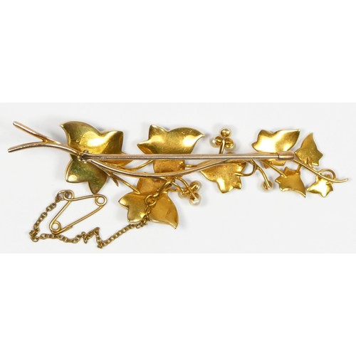 52 - A Victorian unmarked 15ct gold and half pearl set ivy leaf brooch, 7.5cm, 12.3gm