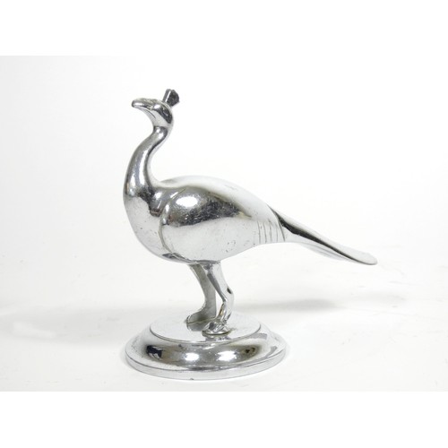 139 - A vintage chrome car mascot, in the form of a peacock, signed T.C., 15 x 13cm