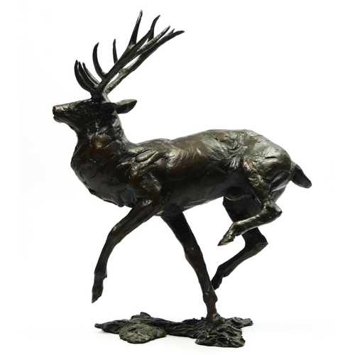 144 - A limited edition bronze study of a running Highland stag , applied makers mark M?, 43/150, 14cm