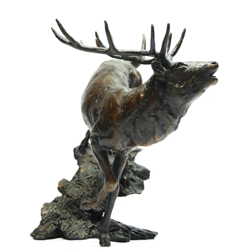 145 - A limited edition bronze study of a leaping Highland stag , applied makers mark M?, 45/100, 14cm