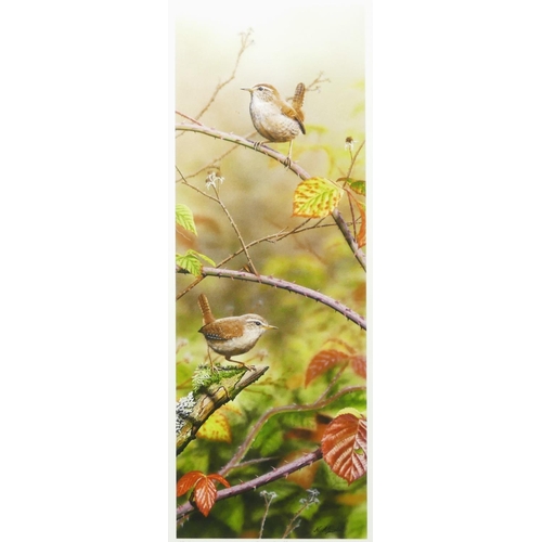 301 - Nigel Artingstall (b.1963), Autumn Bramble, limited edition print, 17/195 signed in pencil, 52 x 19c... 