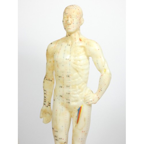 337 - A Chinese acupuncture model, rubber, indicating pressure points, 27cm tall, with instruction book, t... 