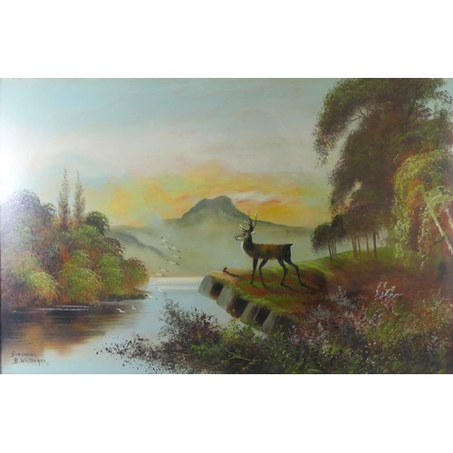 230 - B. Wallinger, early 20th Century - a pair of Highland stag on rivers, oil on board - 48cm x 75cm.