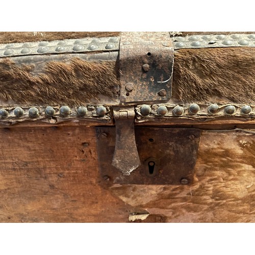 165 - 19th Century American dome topped, pine carcass, horsehair topped trunk with manufacturers label 'Ry... 