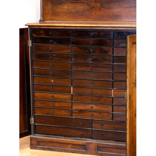 403 - A William IV specimen cabinet, with upper shelf over thumbead top, the doors opening to reveal three... 