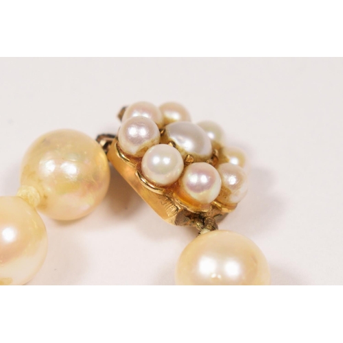 59 - A uniform cultured pearl necklace, composed of 49 beads of 7mm diameter, to a 9ct gold and pearl cla... 