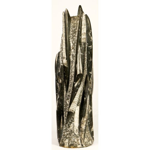 211 - A Orthoceras Spire Tower fossil specimen, 40cm.
Orthoceras (