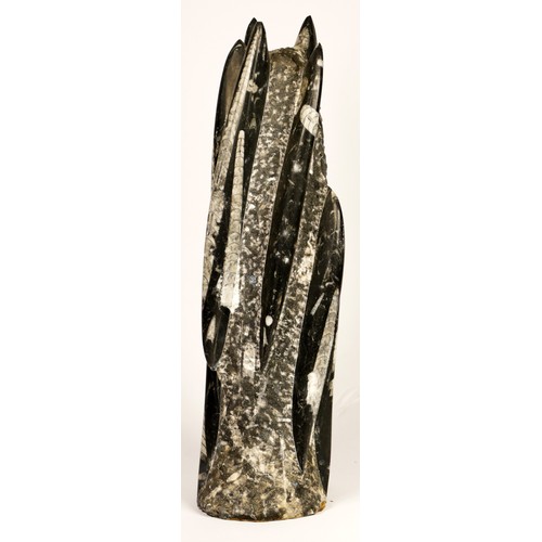 211 - A Orthoceras Spire Tower fossil specimen, 40cm.
Orthoceras (