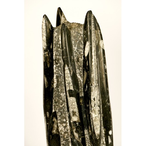 211 - A Orthoceras Spire Tower fossil specimen, 40cm.
Orthoceras (