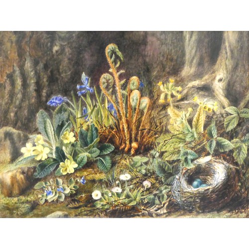 321 - William Hough (1829-1897), birds nest, violets and primroses in a wood, watercolour, monogram and da... 