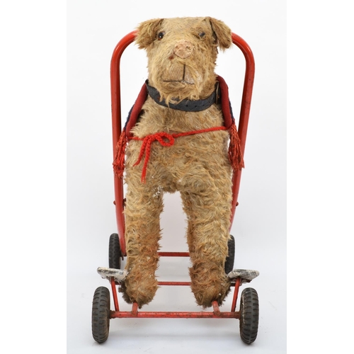 359 - A ride on push along child's toy, in the form on a dog, westie, with collar and jacket, with wooden ... 