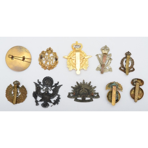 439 - A collection of 10 military cap badges, to include American and Irish