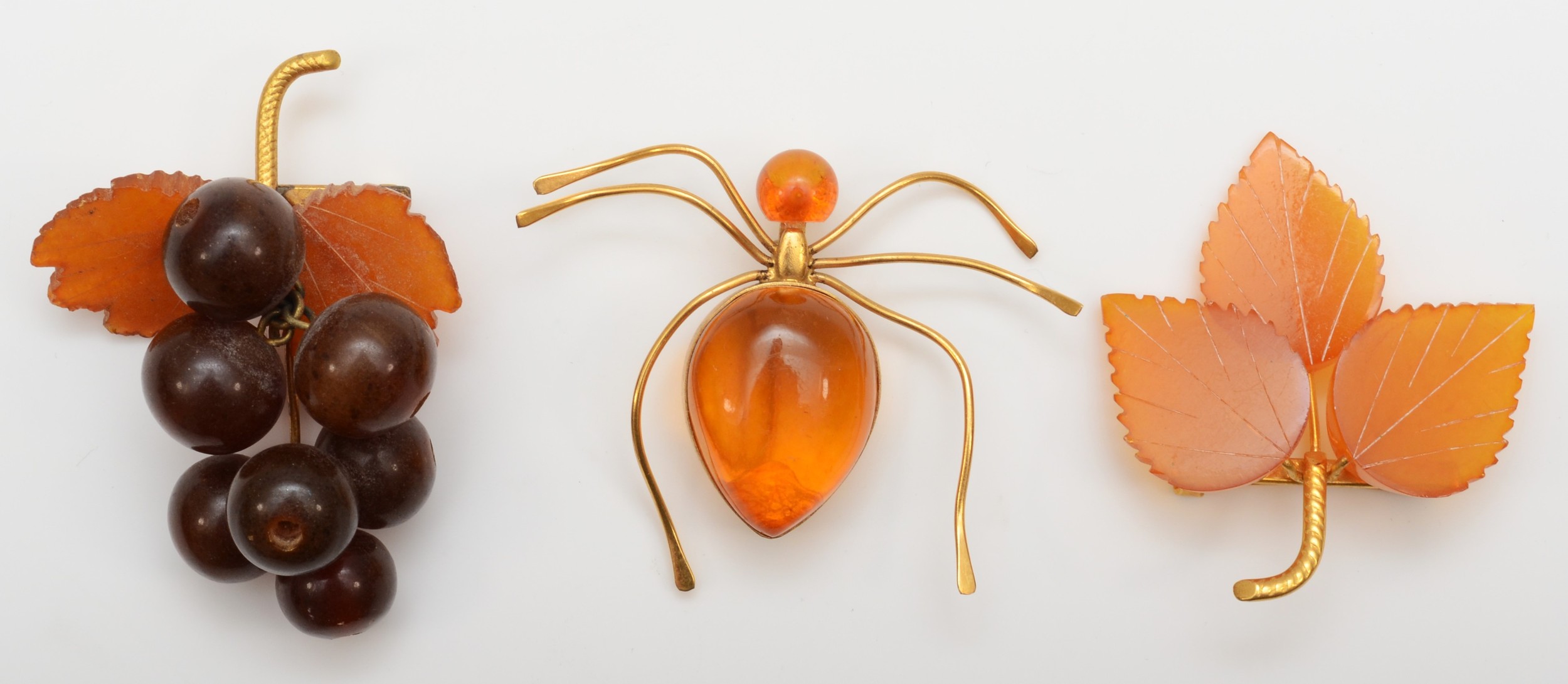 Amber hot sale spider brooch