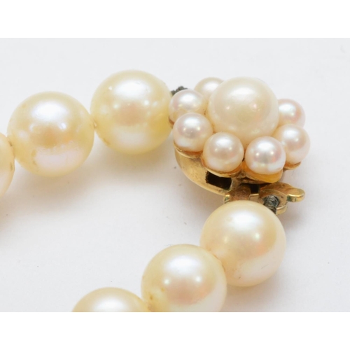 125 - A uniform 7mm bead cultured pearl necklace, 61cm, to a 9ct gold and pearl cluster clasp